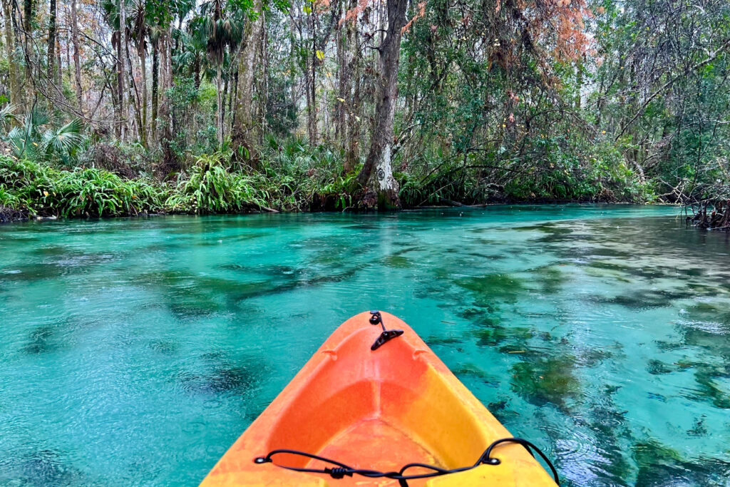 Best Kayaking Spots Florida 2024