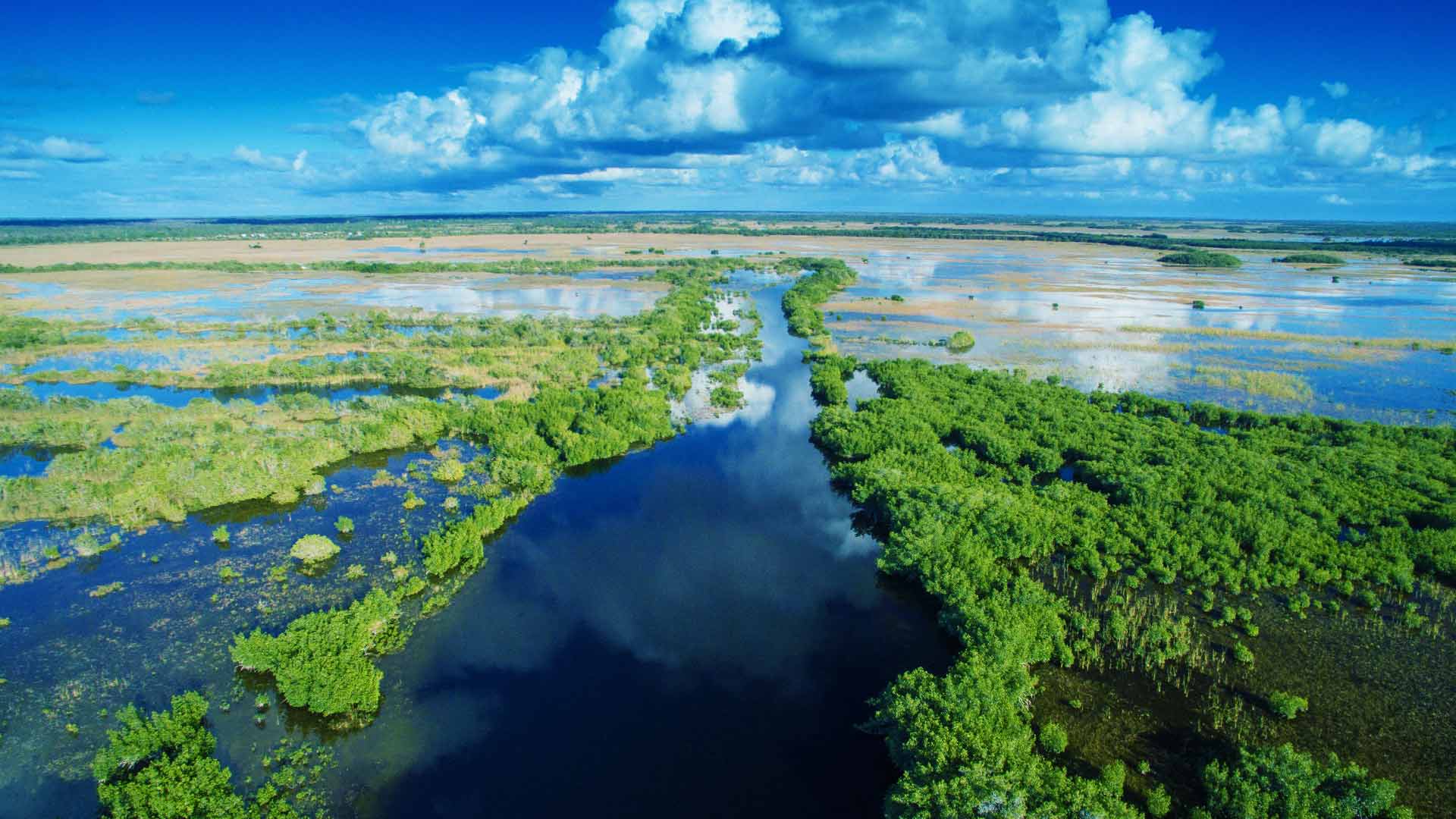 Southwest Florida EcoTourism
