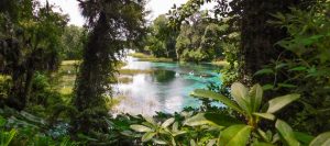 Florida's Natural Springs