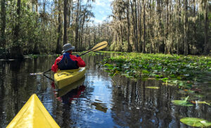 Kayak Eco Tours