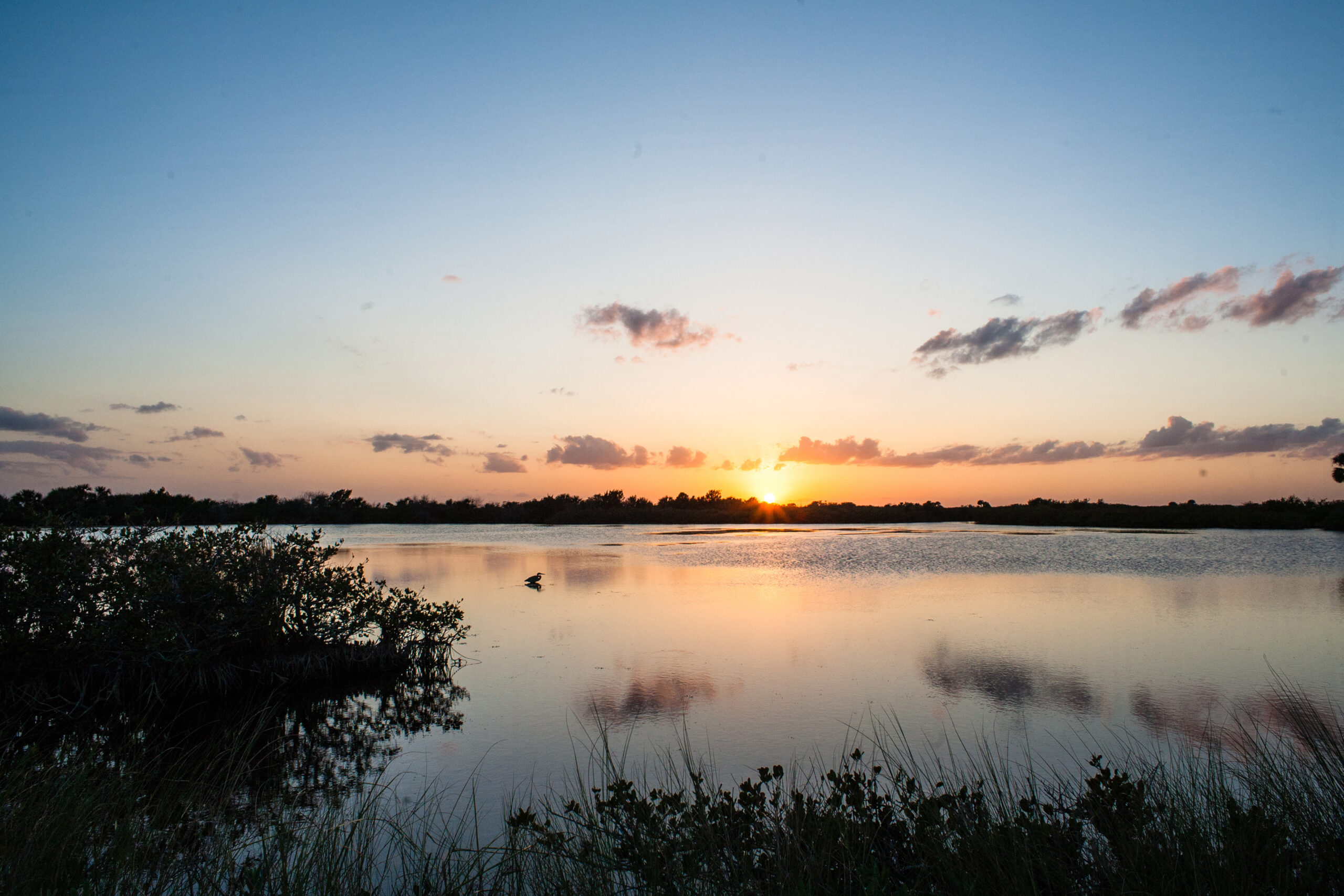 Best Kayaking Spots Florida 2024