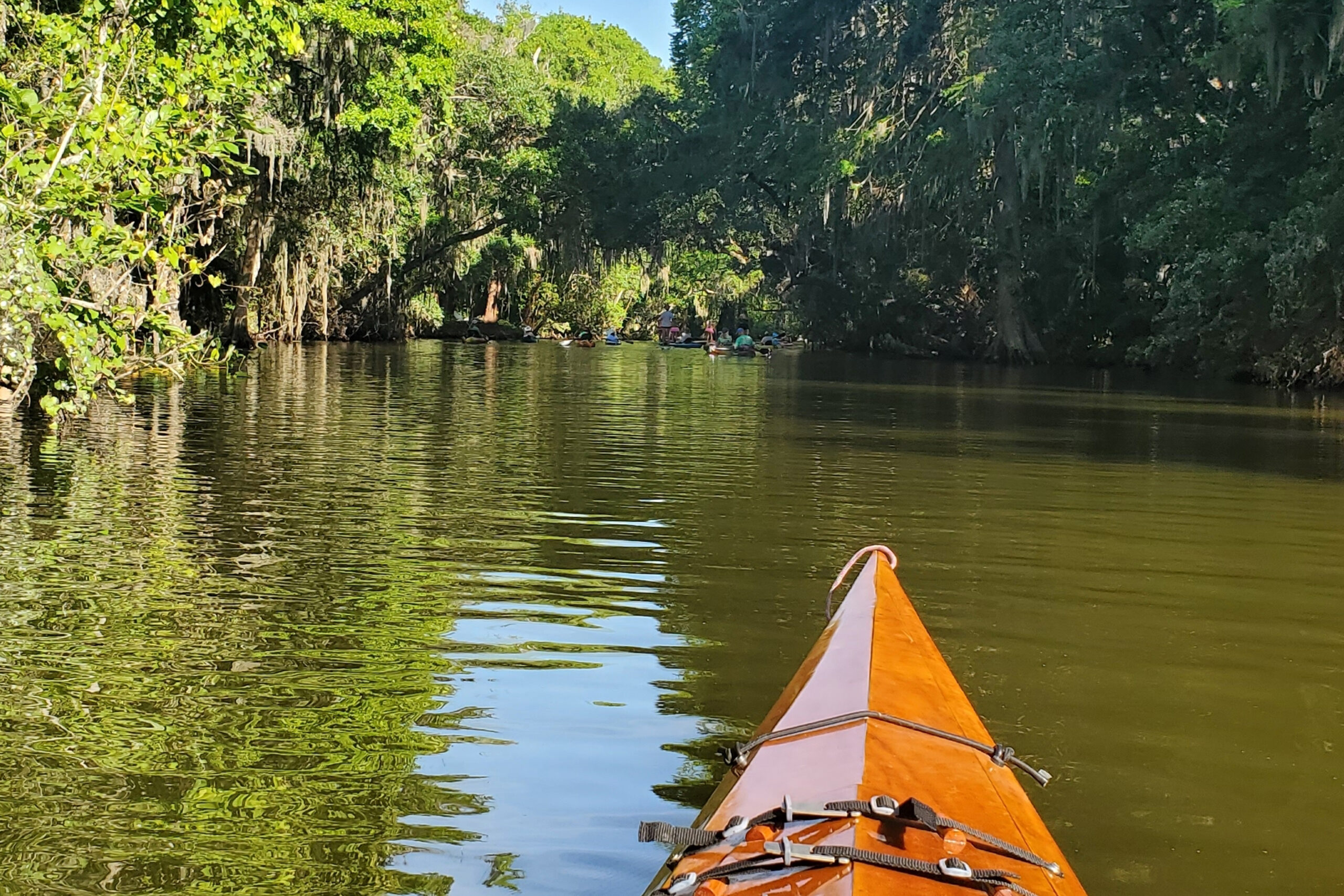 Best Kayaking Spots Florida 2024