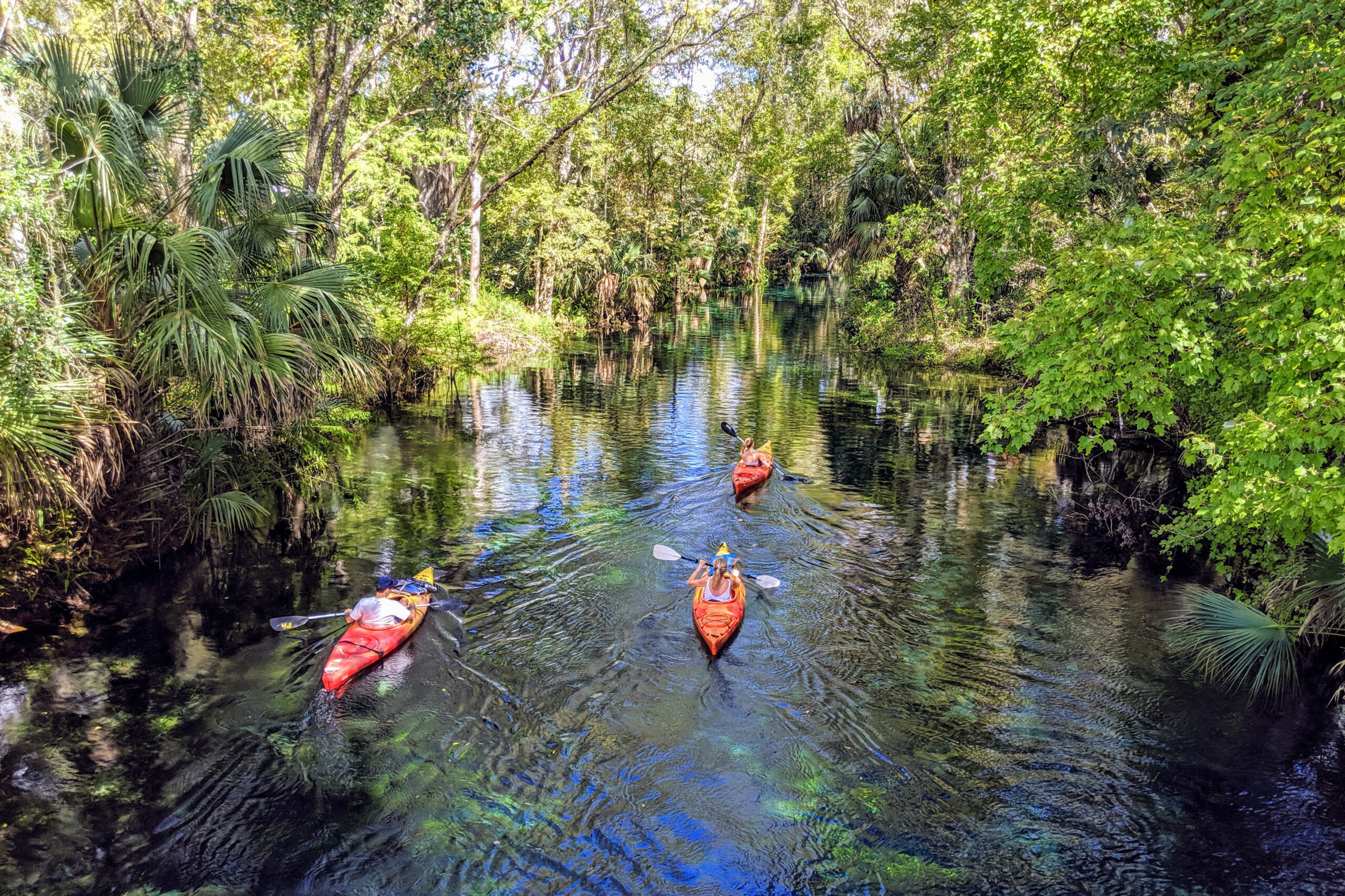 Best Kayaking Spots Florida 2024