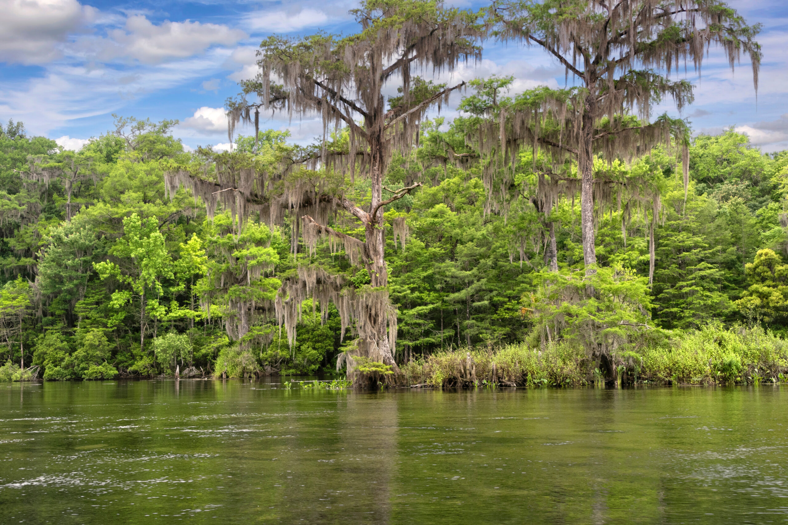 Best Kayaking Spots Florida 2024