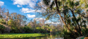 Florida eco-camping adventure. Wekiva Springs State Park.