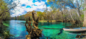 A guide for the best Eco-tours and Outdoor Adventures in Florida