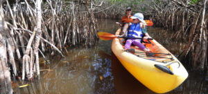 A guide for the best Eco-tours and Outdoor Adventures in Florida