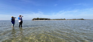 A guide for the best Eco-tours and Outdoor Adventures in Florida