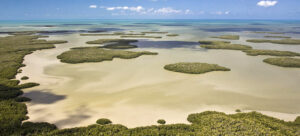 A guide for the best Eco-tours and Outdoor Adventures in Florida