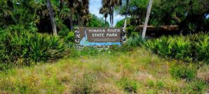 Experience Florida Like a Local: Top 10 Summer Activities