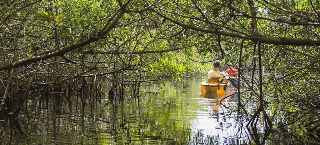 Experience Florida Like a Local: Top 10 Summer Activities