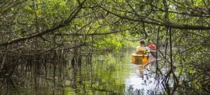 Experience Florida Like a Local: Top 10 Summer Activities