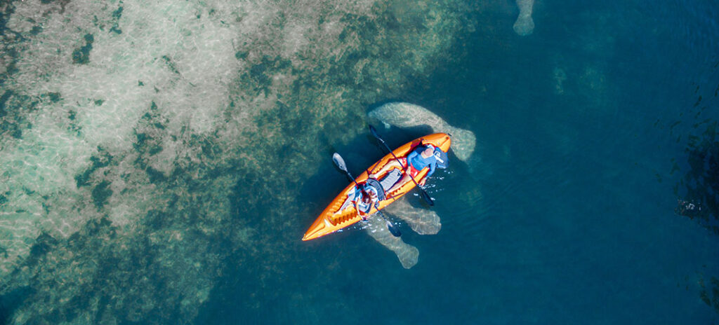 Experience Florida Like a Local: Top 10 Summer Activities