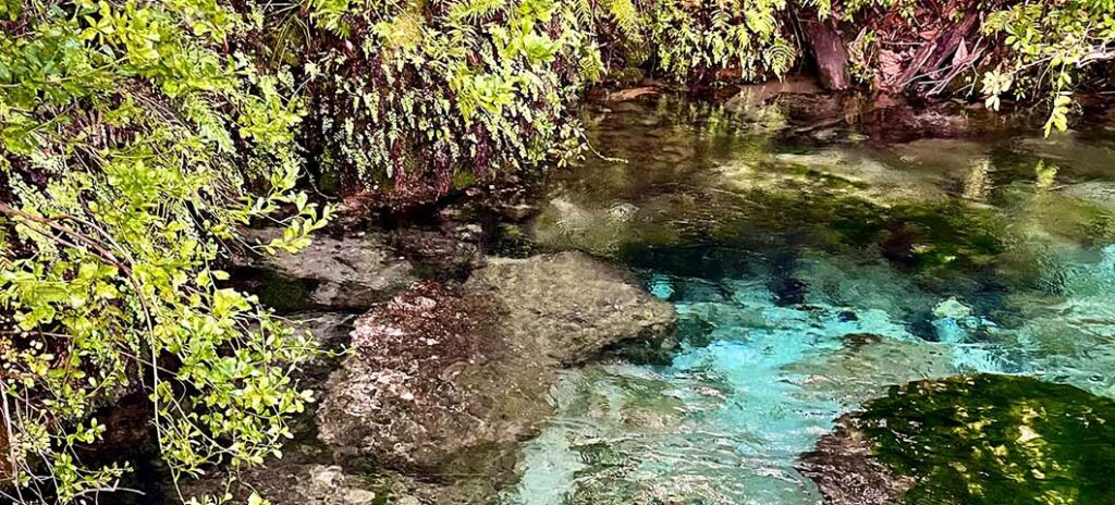 Experience Florida Like a Local: Top 10 Summer Activities