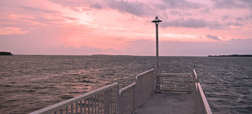 Experience Florida Like a Local: Top 10 Summer Activities