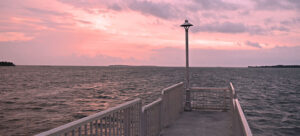 Experience Florida Like a Local: Top 10 Summer Activities