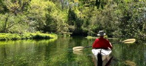 Experience Florida Like a Local: Top 10 Summer Activities