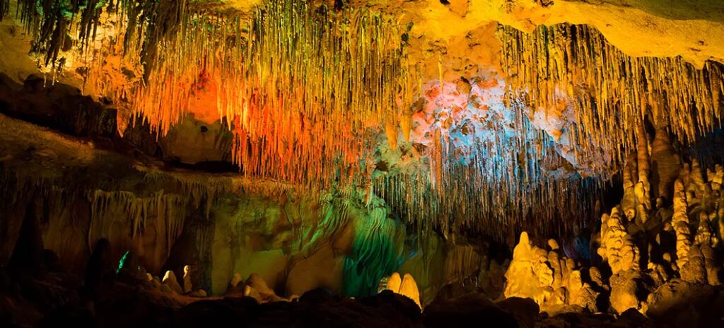 Experience Florida Like a Local: Top 10 Summer Activities