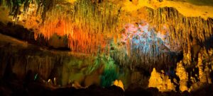 Experience Florida Like a Local: Top 10 Summer Activities