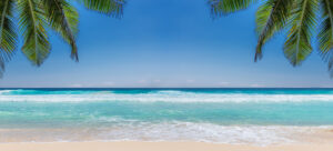 The Best Beaches in Florida 2025