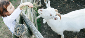 The Florida Agritourism & Farm-to-Table Dining Guide