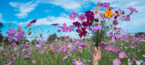 The Florida Agritourism & Farm-to-Table Dining Guide