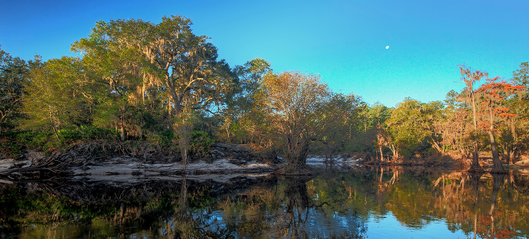 Florida's Hidden Hiking Trails to Visit in Winter
