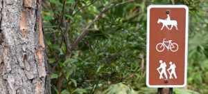 Florida's Hidden Hiking Trails to Visit in Winter