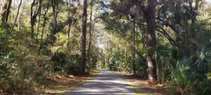 Florida's Hidden Hiking Trails to Visit in Winter