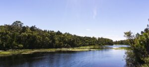 Florida's Hidden Hiking Trails to Visit in Winter