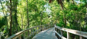 Florida's Hidden Hiking Trails to Visit in Winter