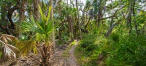 Florida's Hidden Hiking Trails to Visit in Winter