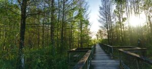 Florida's Hidden Hiking Trails to Visit in Winter