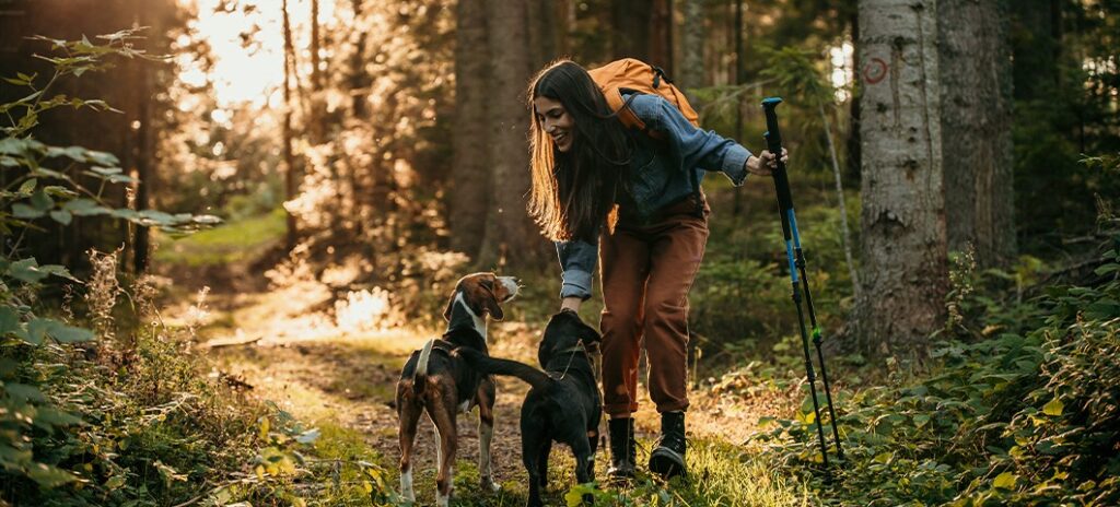Florida's Hidden Hiking Trails to Visit in Winter