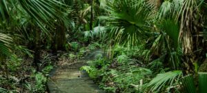 Florida Nature Lover's Resolutions for 2026