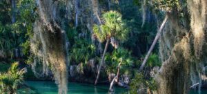 Florida Nature Lover's Resolutions for 2026