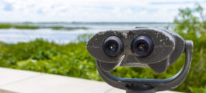 The Best Outdoor Activities in Florida for January 2026