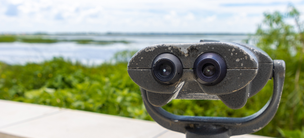 The Best Outdoor Activities in Florida for January 2026