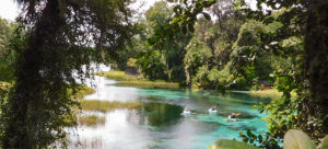 The Best Outdoor Activities in Florida for January 2026