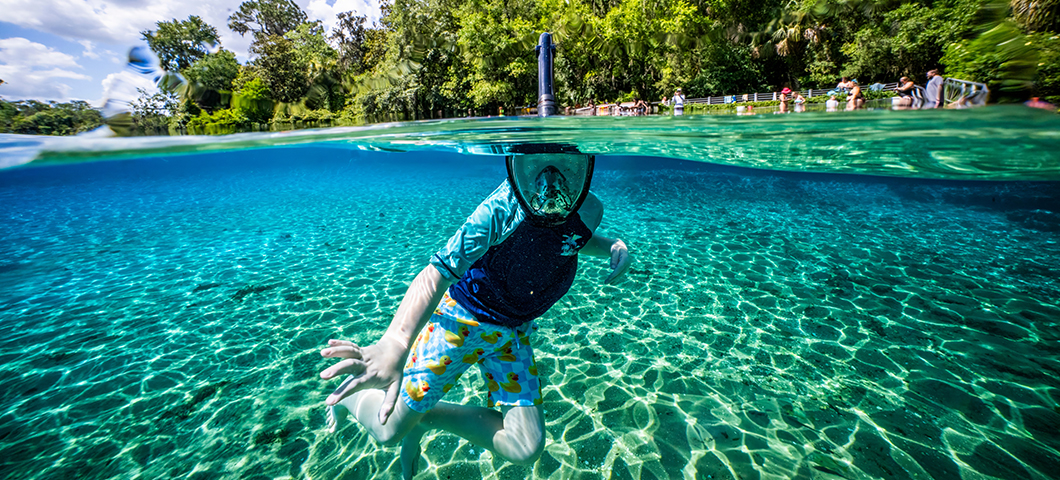 The Best Outdoor Activities in Florida for January 2026