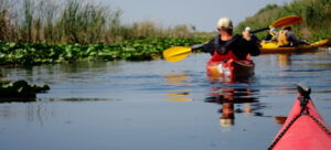 The Best Outdoor Activities in Florida for January 2026