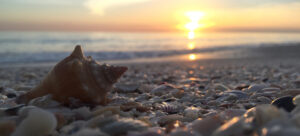 The Best Outdoor Activities in Florida for January 2026