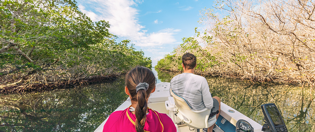 The Florida Eco Tours Guide for Spring 2026