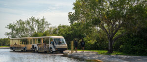 The Florida Eco Tours Guide for Spring 2026