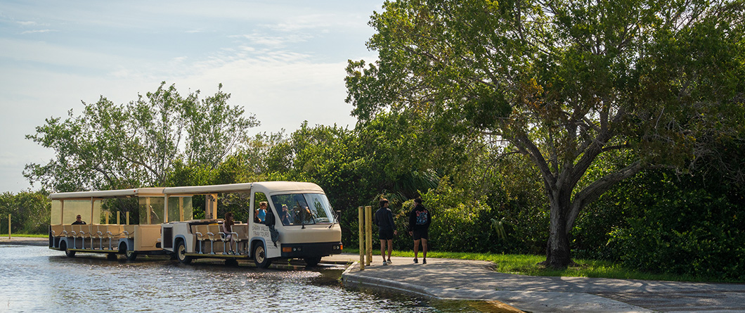 The Florida Eco Tours Guide for Spring 2026