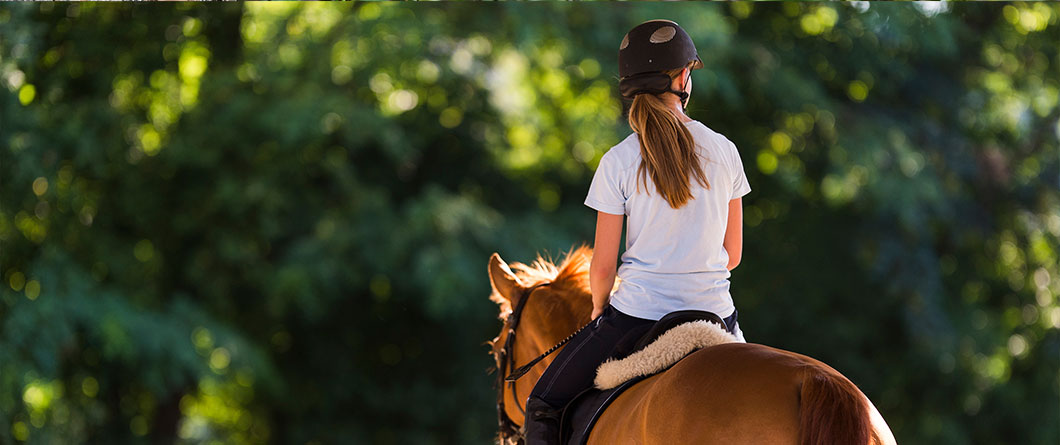 The Guide for Horseback Riding in Florida in 2026