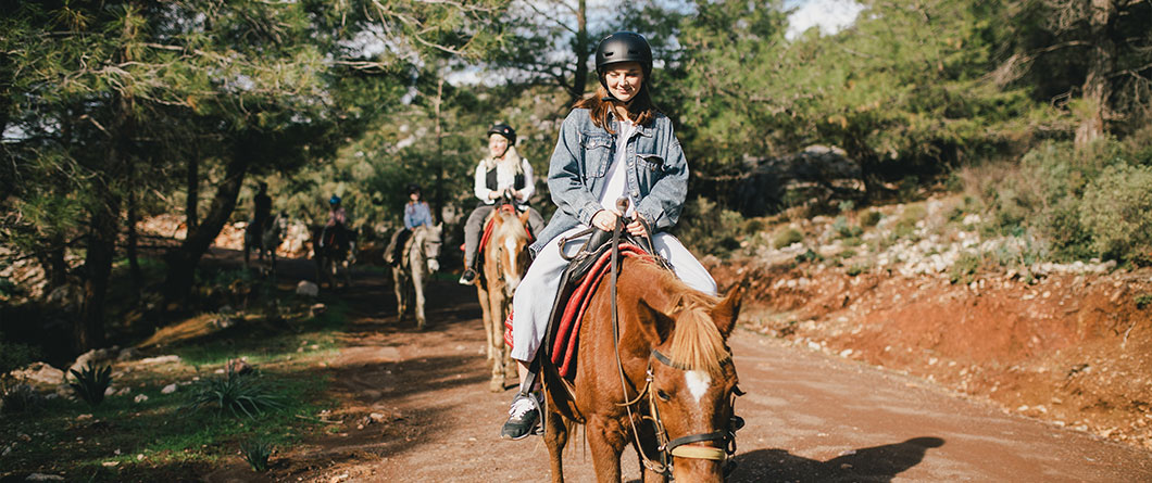 The Guide for Horseback Riding in Florida in 2026