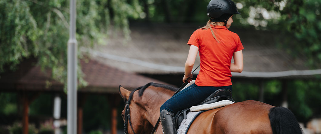 The Guide for Horseback Riding in Florida in 2026