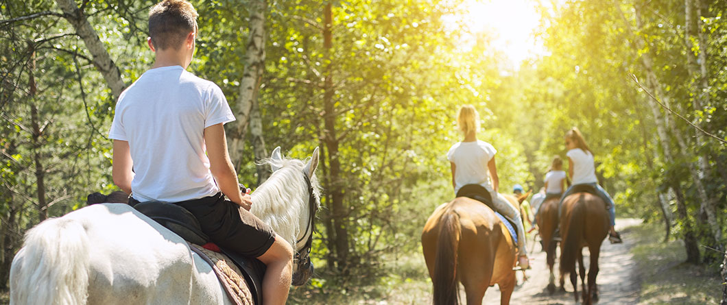 The Guide for Horseback Riding in Florida in 2026