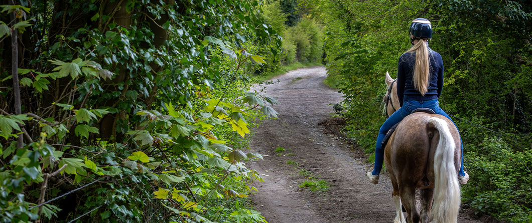 The Guide for Horseback Riding in Florida in 2026